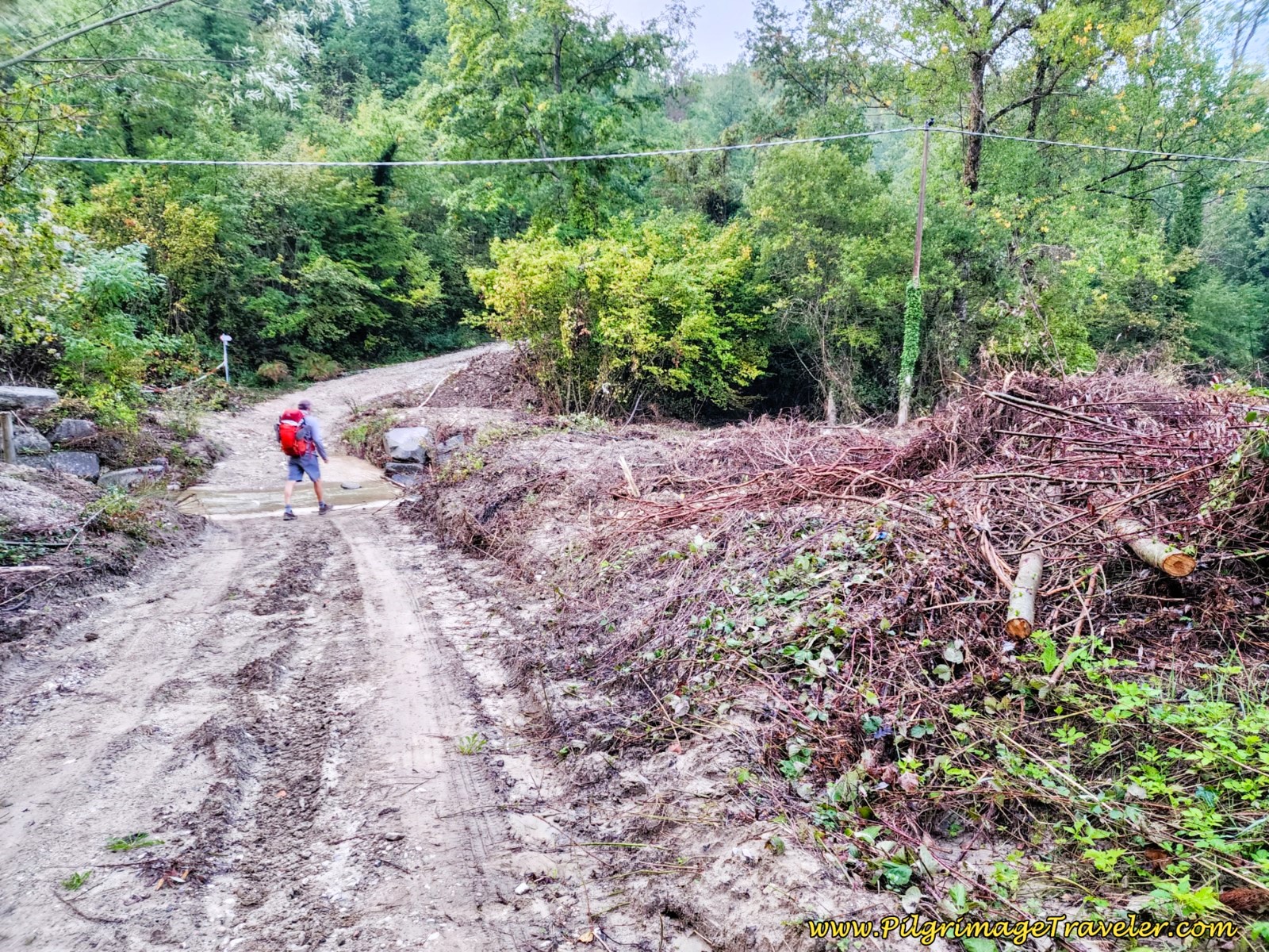 River Wash Out River Wash Out