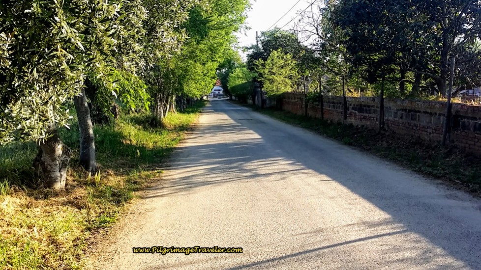 Approaching the Quinta da Cardiga on Day Five, Camino Portugués