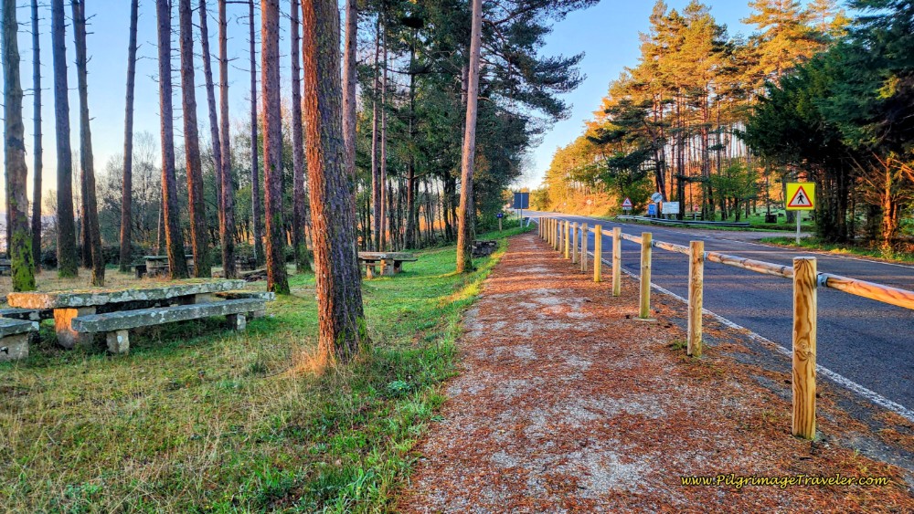 Come to Rest Area with Picnic Tables
