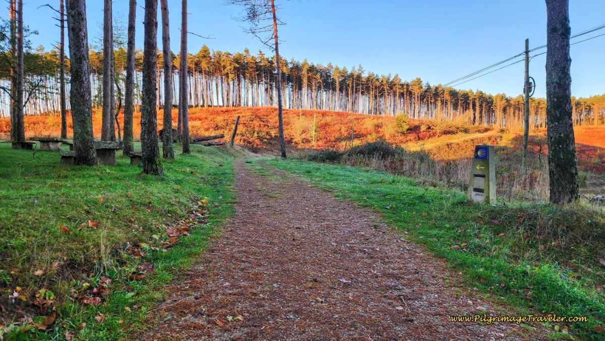 The Primitive Way Turns Left Here By the Picnic Tables