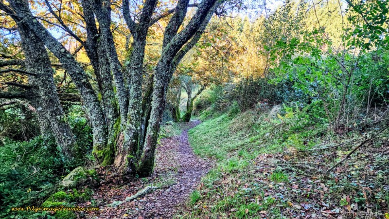 Low Point Along the Path Below the LU-530