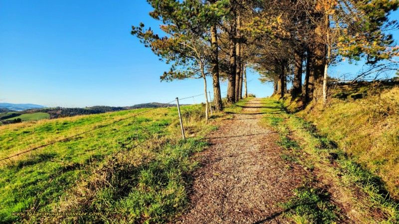 The Open Climb After Vilardongo