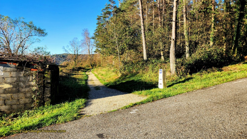 Cross Intersection at Farm