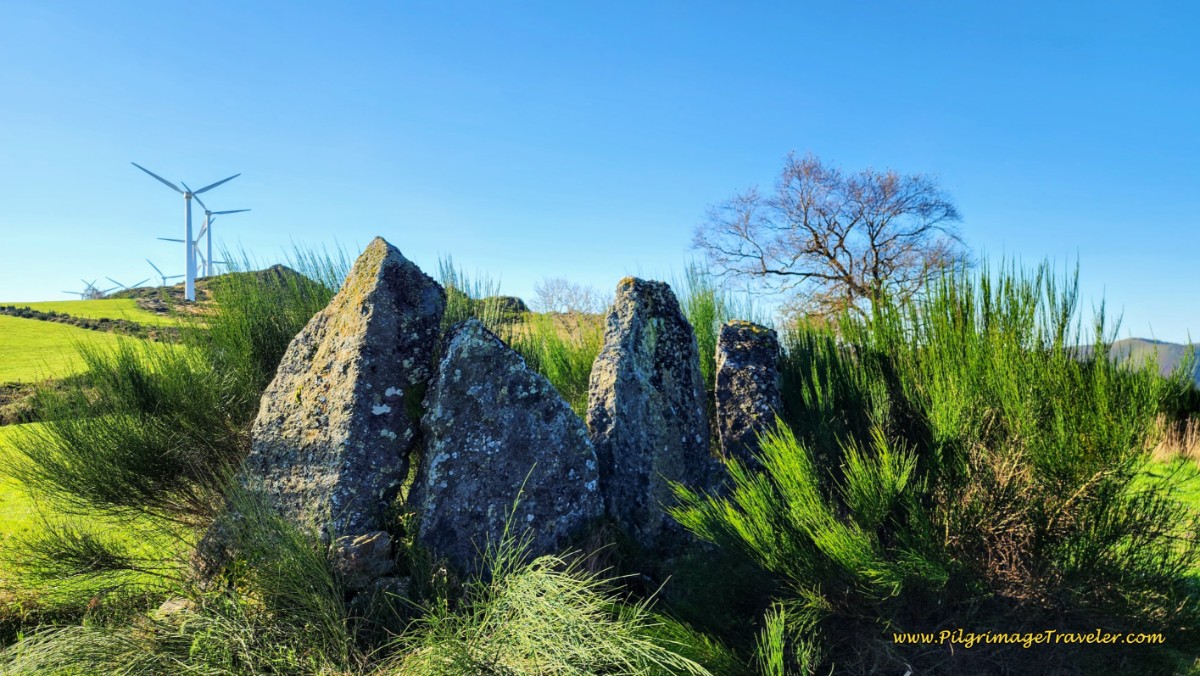 Neolithic Standing Stones Behind the Hospital