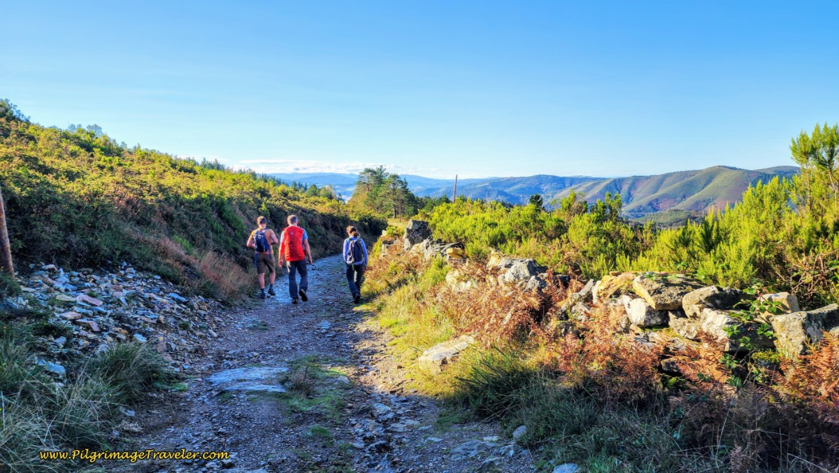 Descending High Shelf Road