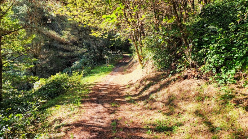 Fenced Stream Crossing