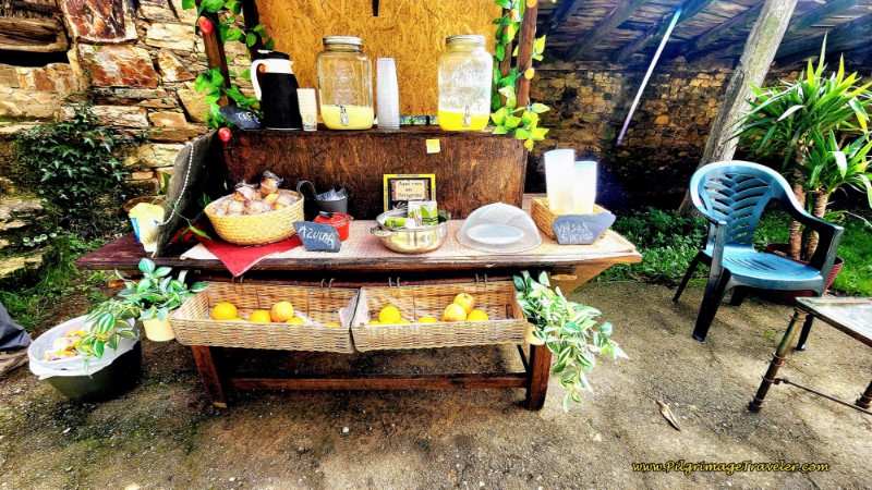 Homemade Lemonade and Muffins