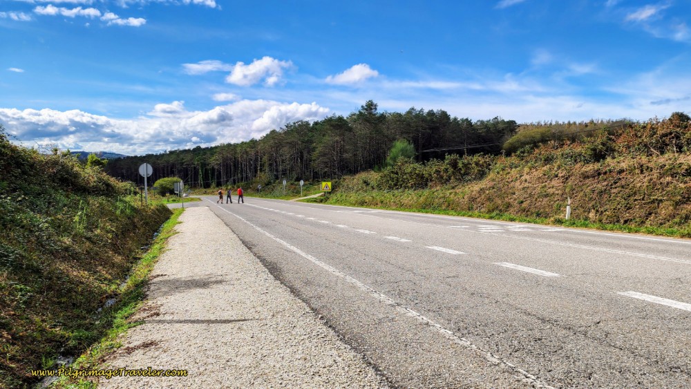 Walking Along the LU-530 on Side Path