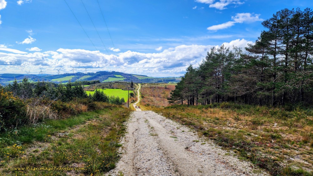 The Brutal, Long, Hot and Dry Afternoon Stretch