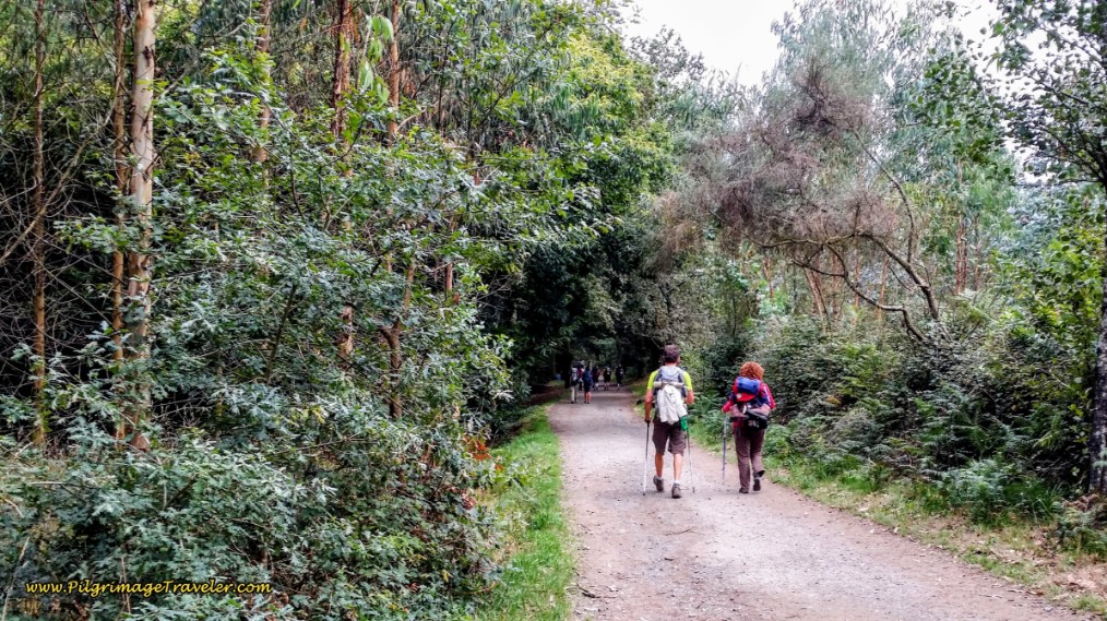 Pilgrims on the Road