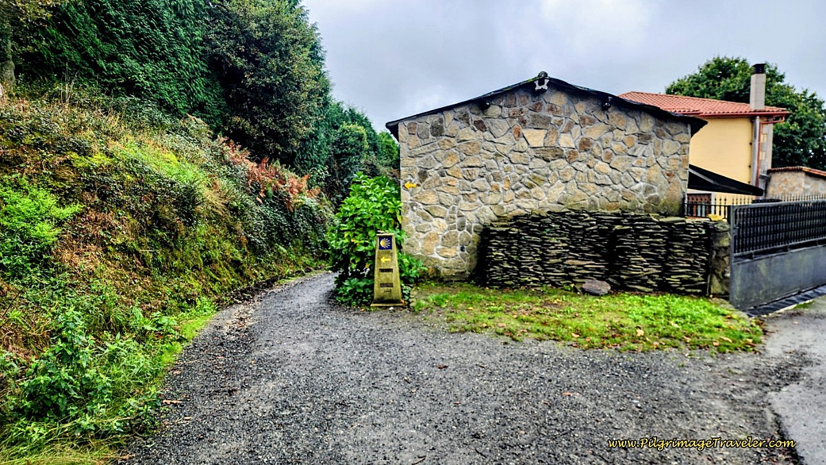 Turn Left After the Bar Lino