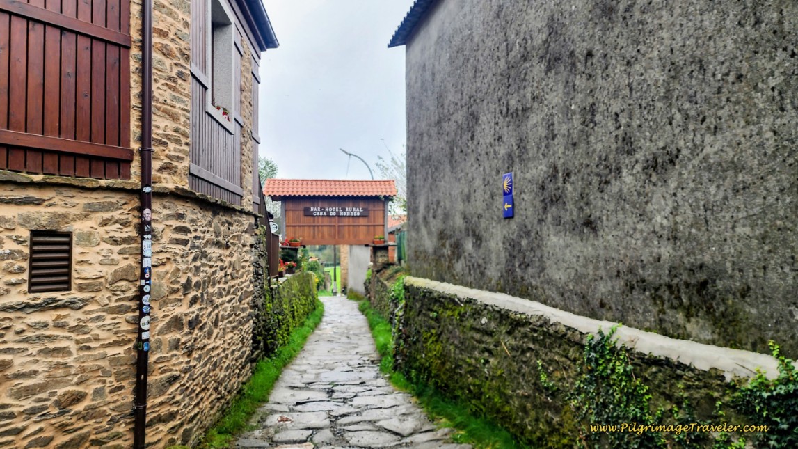 Walking Through A Calle