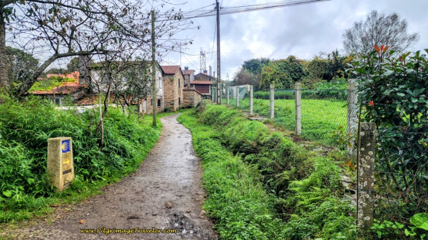 Follow Path With Irrigation Canal