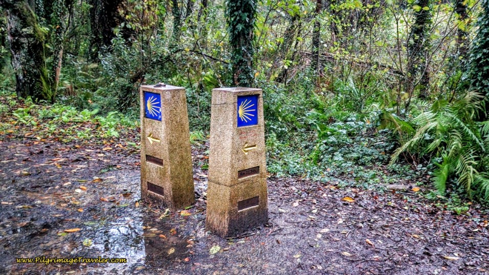 Decision Point, Santa Irene