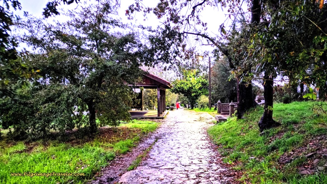 Picnic Rest Area, Santa Irene