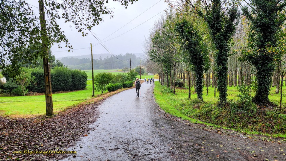 Nearing O Amenal on Paved Lane