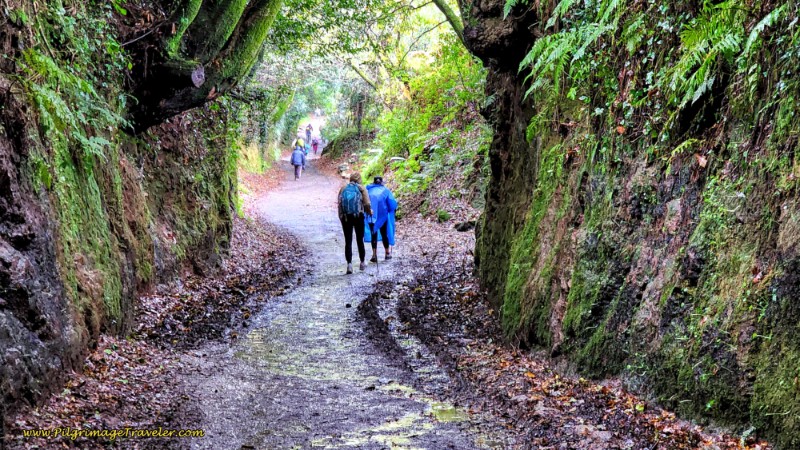 Camino Primitivo - Day 12: Arzúa to Lavacolla, 28.5 Km (17.71 Miles)