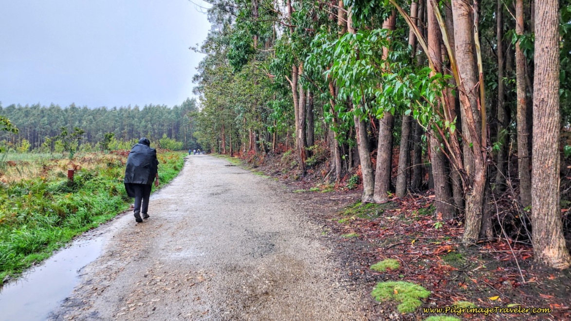 Parallel Lane with the Santiago Airport