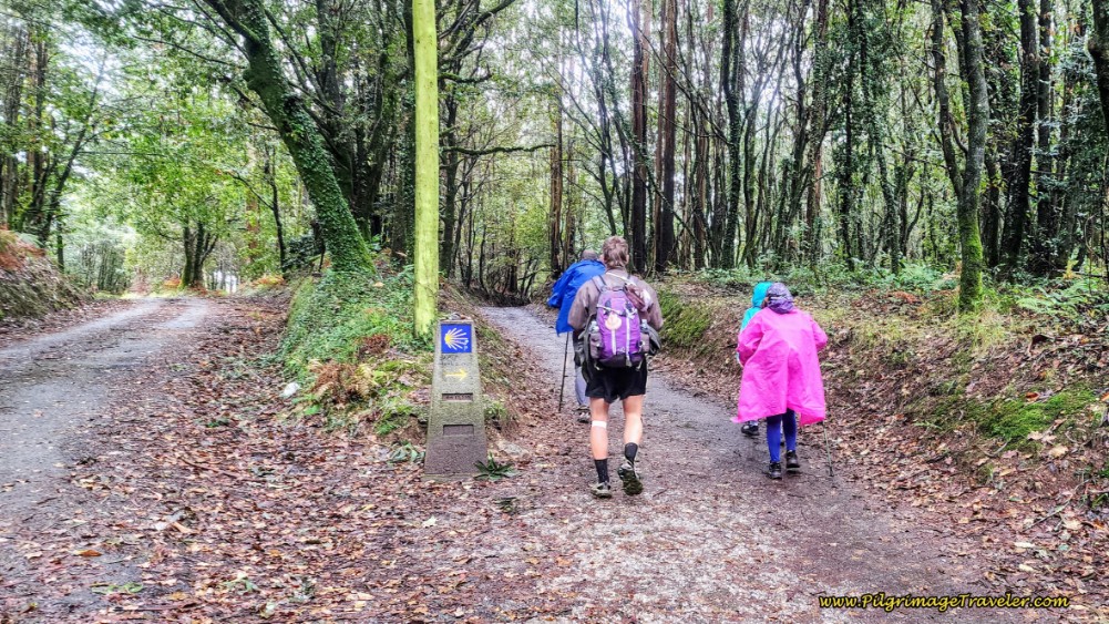 Right Turn onto Dirt Lane After San Paio