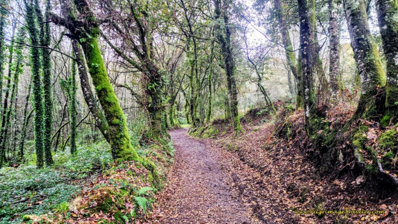 The Casa Camiño Road