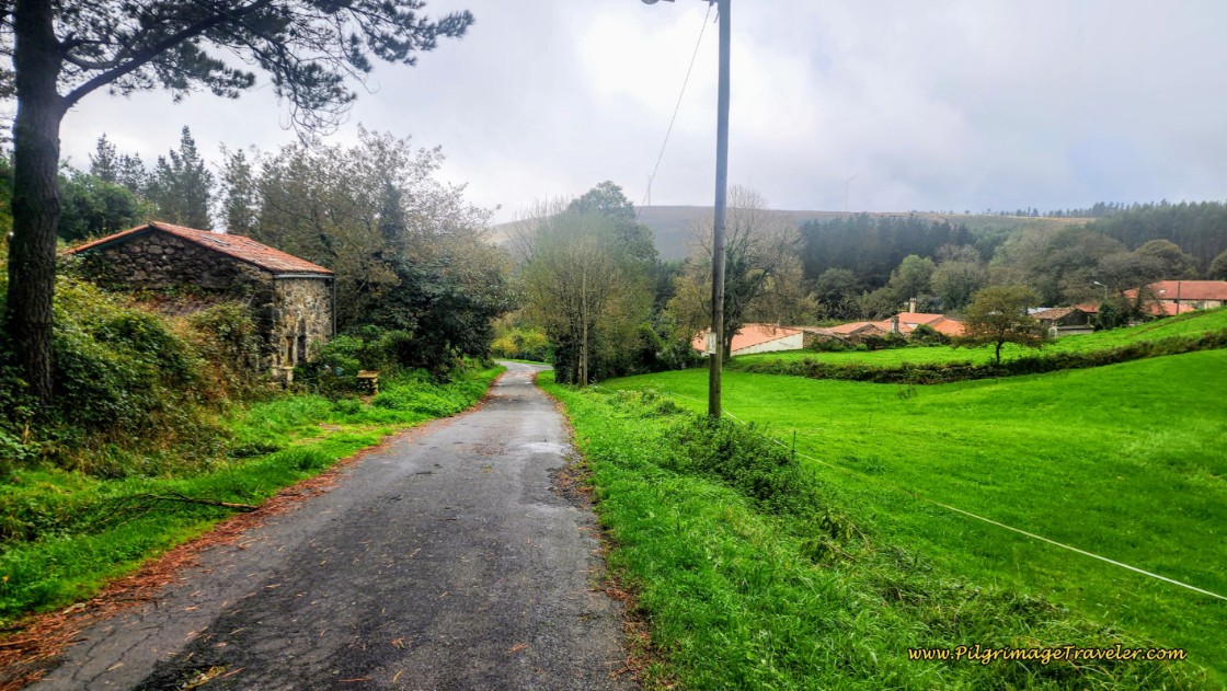 The Road Towards O Hospital das Seixas