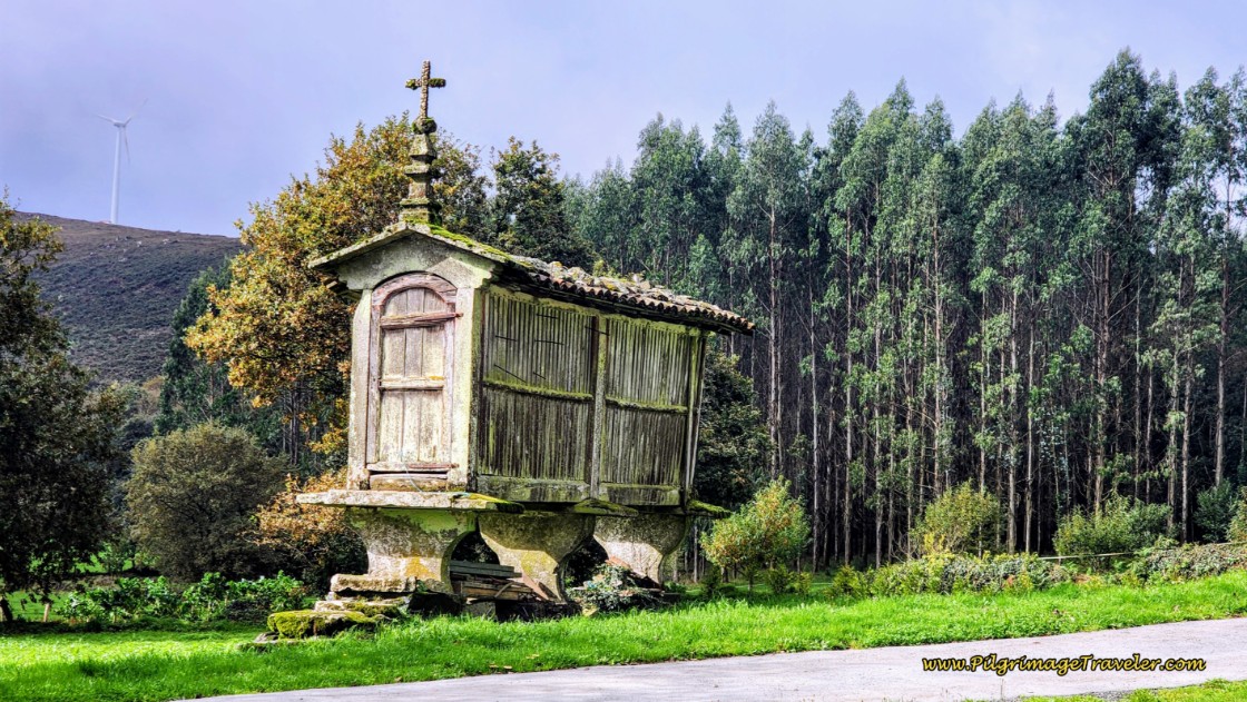 Camino Primitivo - Day 11, Part One: As Seixas to Melide, 14.4 Km (8.95 Miles)