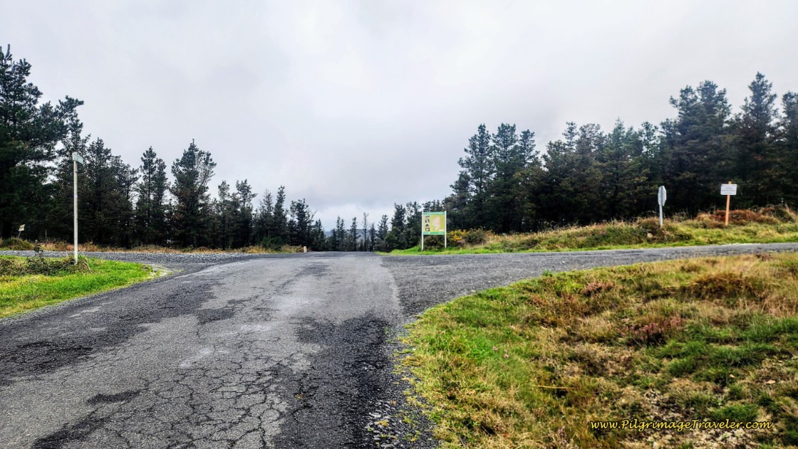 Top of the Climb for the Day