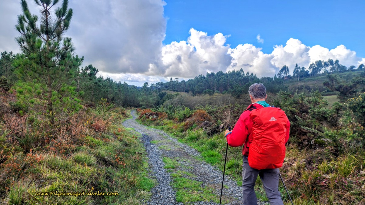 Country Lanes Toward Vilamor de Arriba