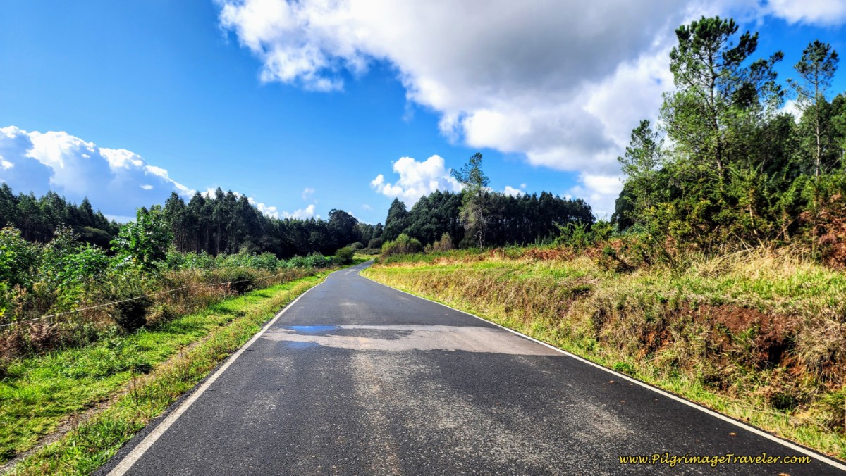 The Paved Road Near Curutelo