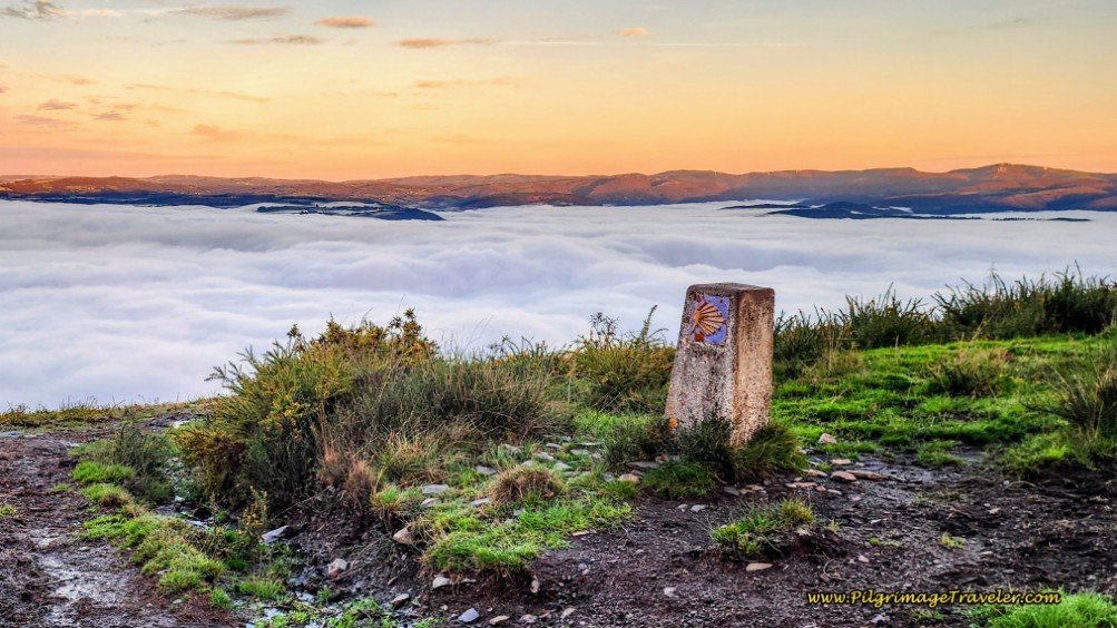 Descending Into the Fog Bank