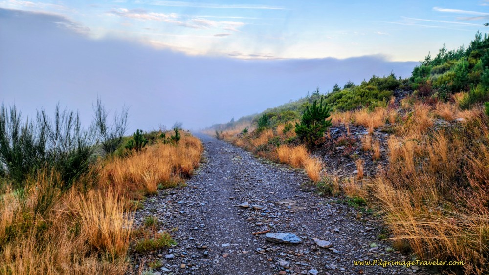 The Fog Awaits Ahead