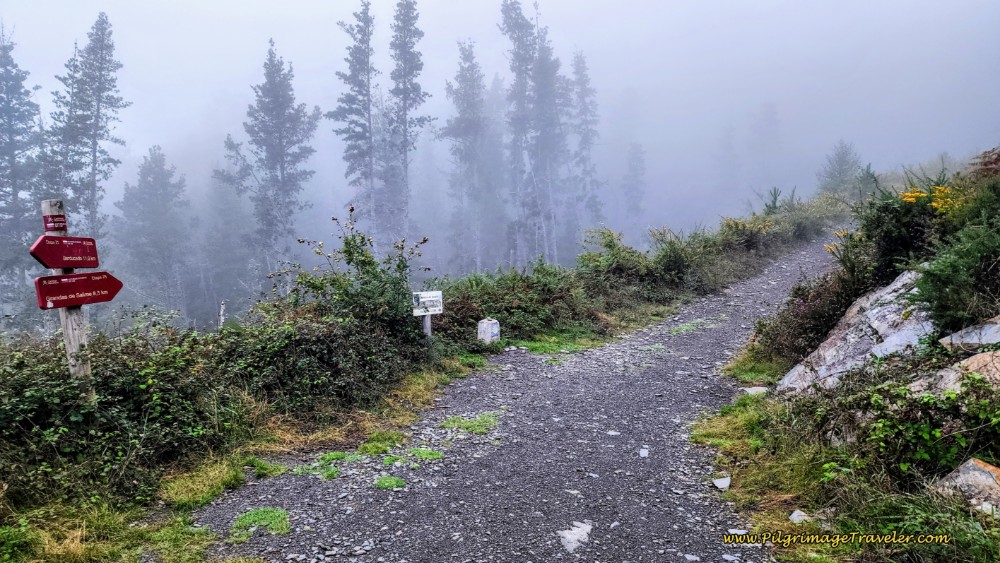 Grandas de Salime 8.3 Km, Berducedo 11 Km