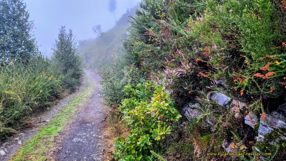 The Lane Briefly Levels Out