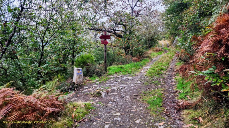 Leave Lane for Path to the Left
