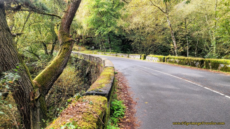 Cross bridge Along the AS-14