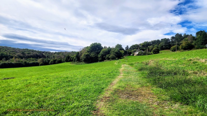 Leaving Grandas de Salime on a Grassy Lane