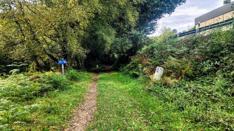 Follow the AS-12, Below It and to the Left