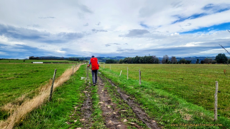 Walking on Farmer’s Lanes