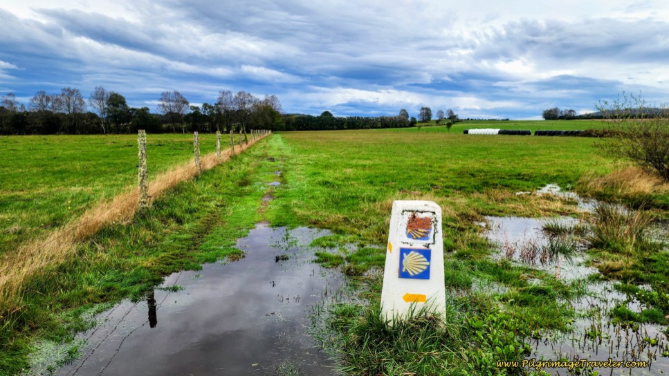 Walking on Farmer’s Lanes