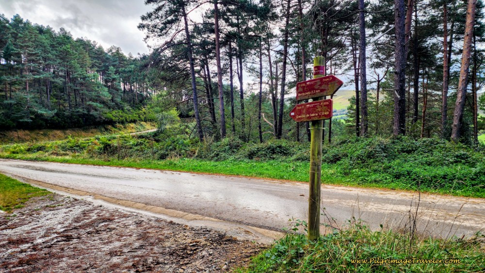 Left Turn Onto Pavement at One of the Unique Sign