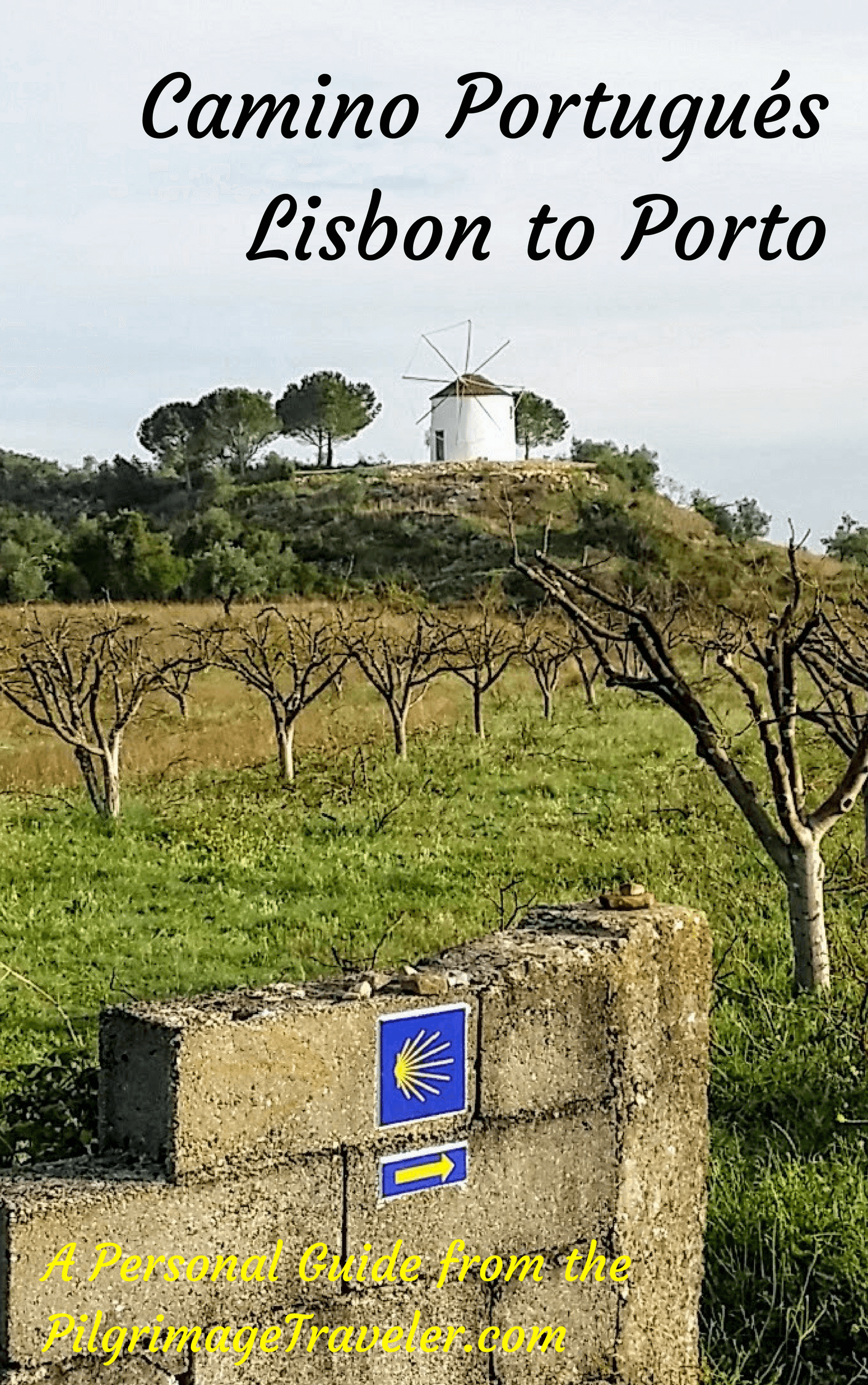 The Official Start of the Camino Portugués in Lisbon