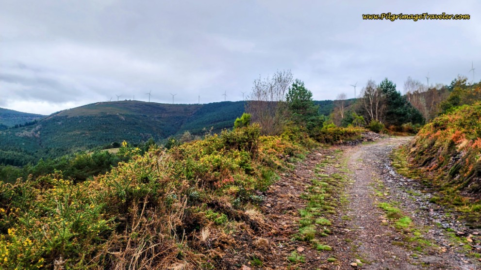 Windmills Ahead and to our Right