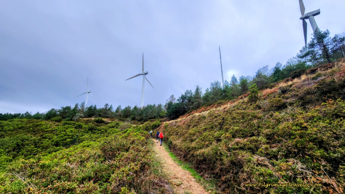 The Windmills Getting Closer!