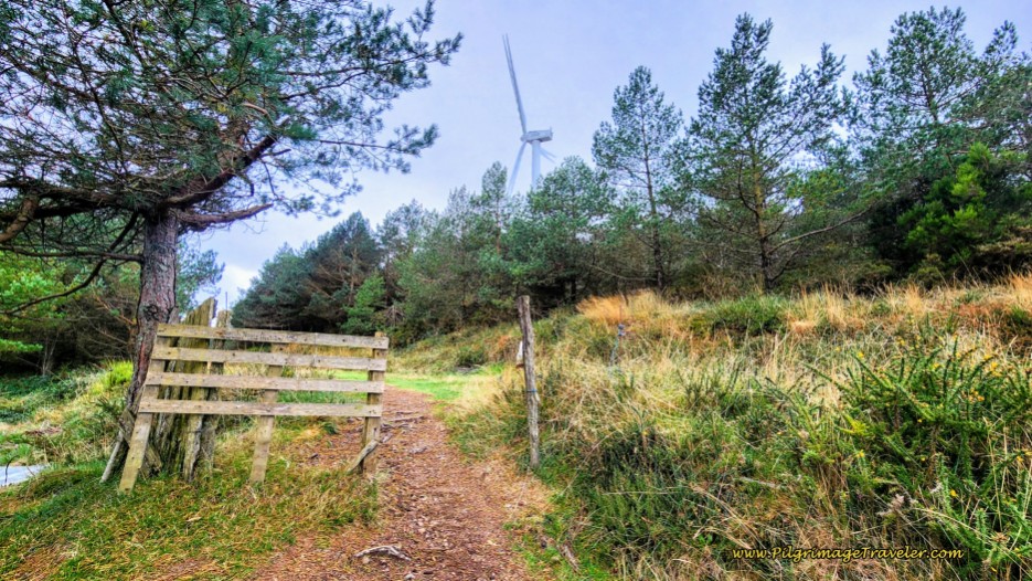 A Windmill Close Enough to Touch!