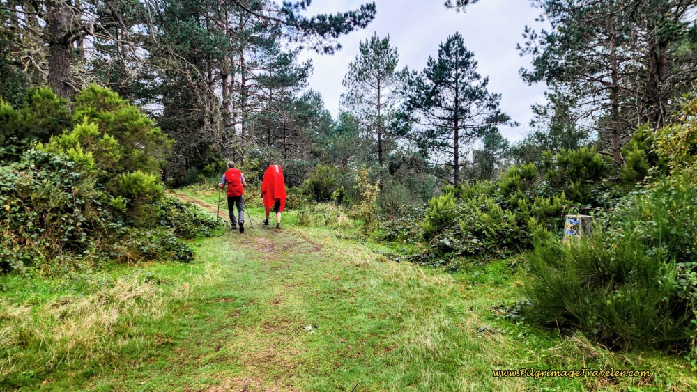 Passing the Alto do Acebo