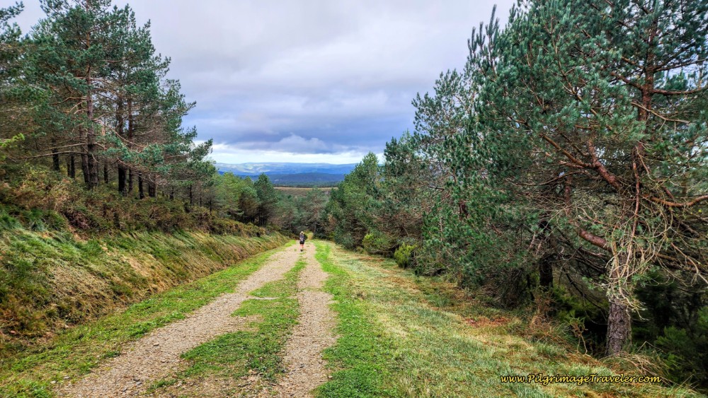 The Camino Descends on the Other Side