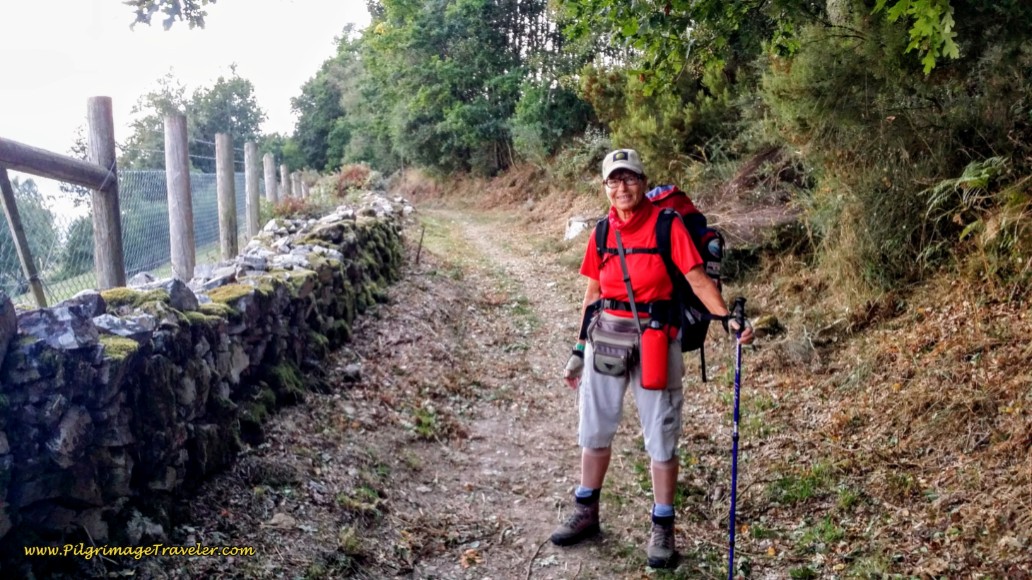 Glyvia, Walking Compañera for this Day