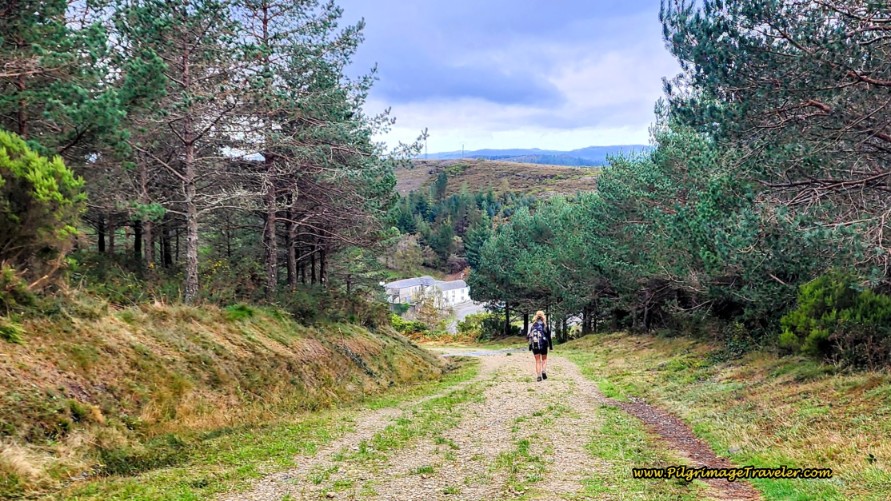 The First Bar Ahead ~ Bar Casa O Acebo