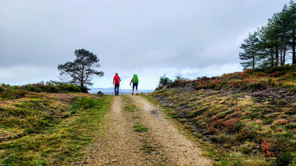 Short Climb After the Bar on a Lane
