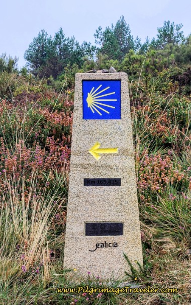 Galician Waymarks with Countdown!